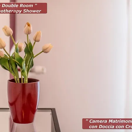 4 Star Boutique 게스트하우스 *